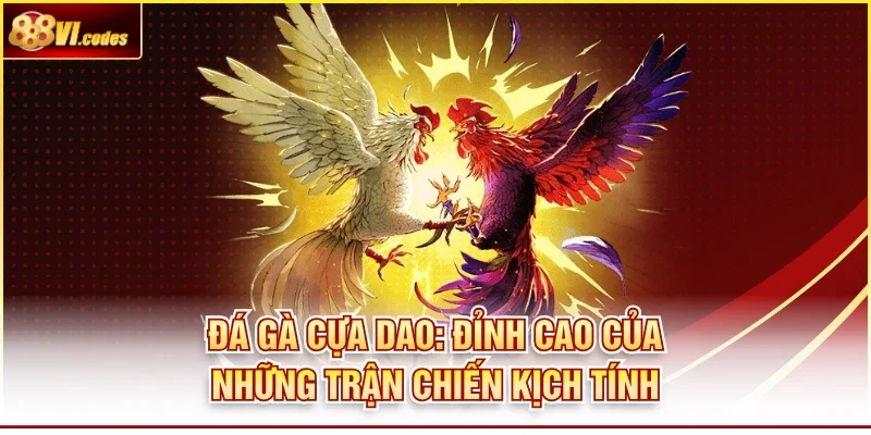 Đá Gà Cựa Dao: Đỉnh Cao Của Những Trận Chiến Kịch Tính
