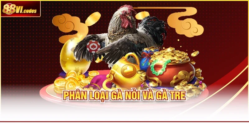 Phân loại gà nòi và gà tre